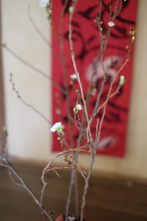 Kanazawa Tabi-Ne Ngoại thất bức ảnh